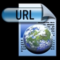 Internet Document 2 (globe)